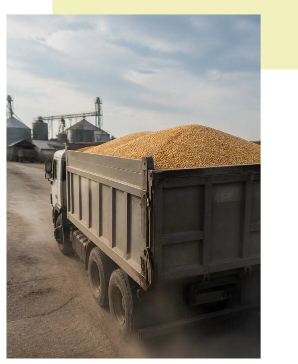 Перевозка сельхозпродукции навалом в Заинск по цене от 3051 р. | Агросервис-Знс